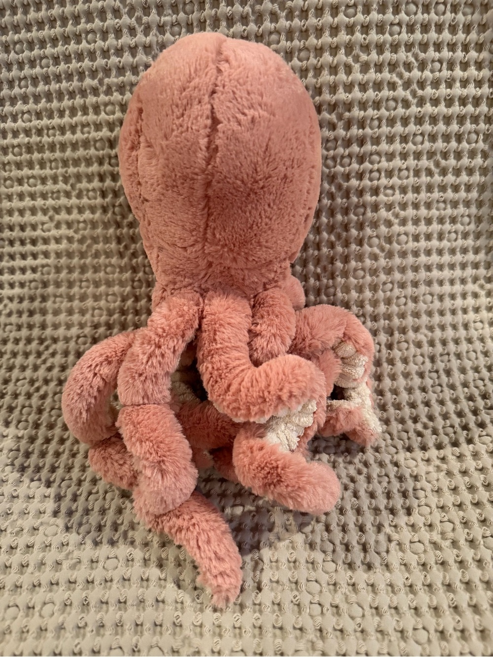 Jellycat Little Odell Octopus - Picture 4 of 7